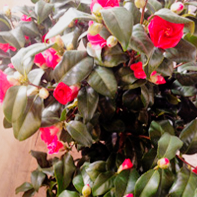 header default_01 03